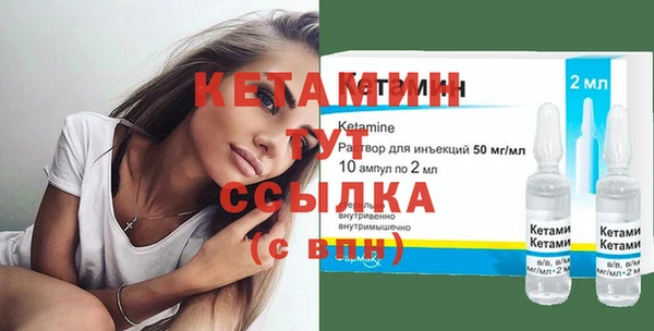 шишки Карпинск