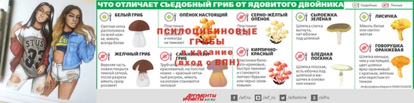 apvp Карталы