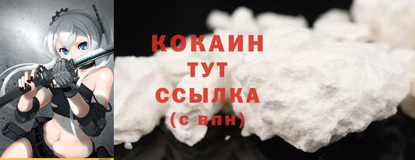 шишки Карпинск