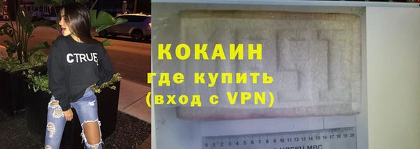 гашик Каменка