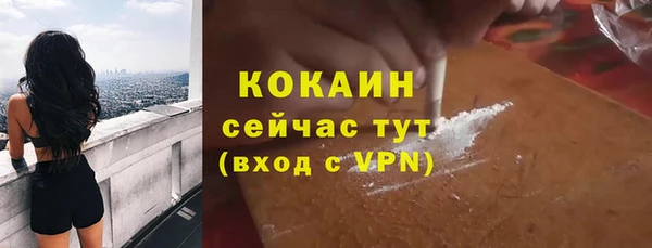 шишки Карпинск