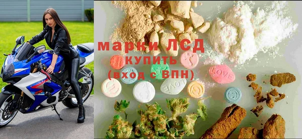 шишки Карпинск