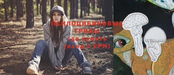 шишки Карпинск