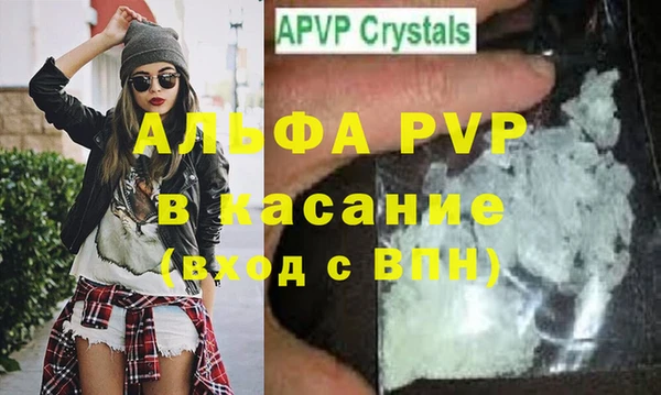шишки Карпинск