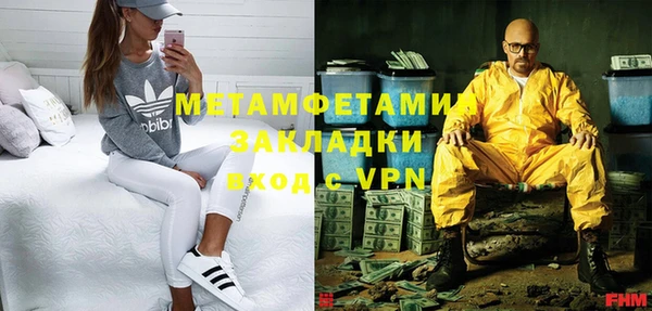 шишки Карпинск