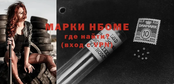 шишки Карпинск