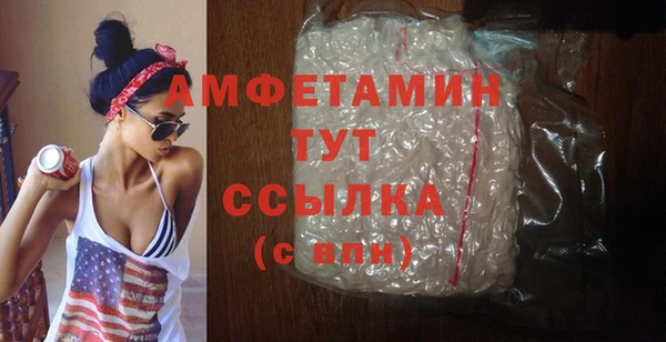 шишки Карпинск