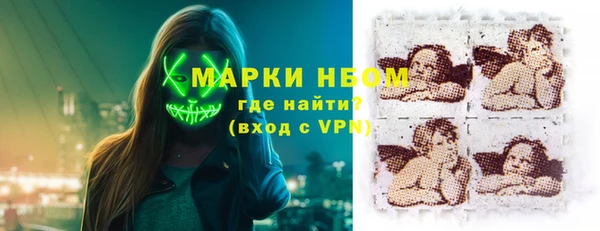 шишки Карпинск