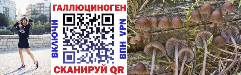 Галлюциногенные грибы MAGIC MUSHROOMS  Купить закладки  Олёкминск 